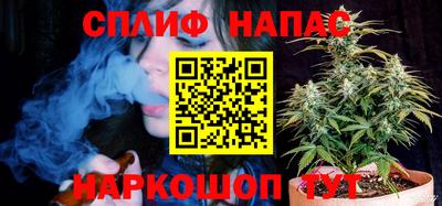 СК Славгород