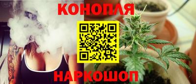СК Славгород