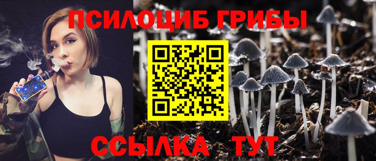 Нарткала  Галлюциногенные грибы мицелий  Псилоцибиновые грибы мицелий  Вход с VPN 